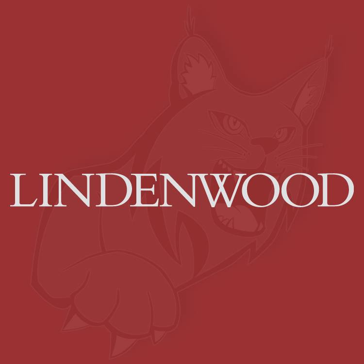 Image for Partner Brady McAninch Joins Lindenwood University post