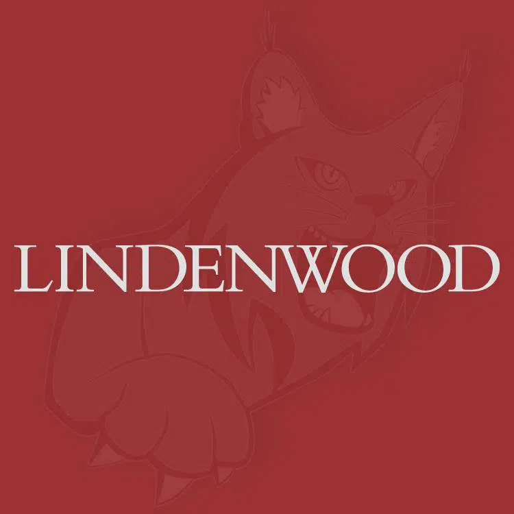 Image for John Hipskind, Founder of Hipskind & McAninch, LLC, Joins Lindenwood University post