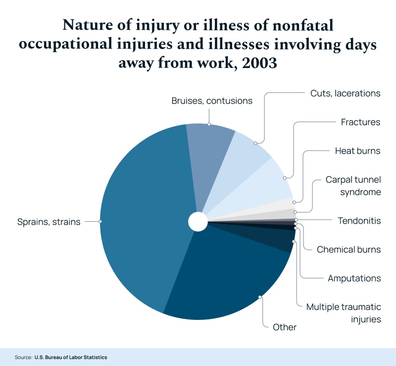 Nature Of Injury Or Illness Of Nonfatal Occupational Injuries And Illnesses Involving Days Away From Work, 2003