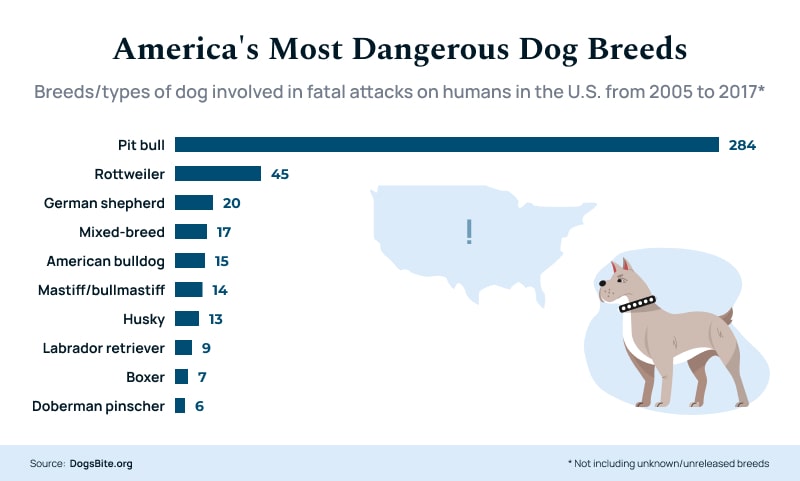 Americas Most Dangerous Dog Breeds Infographic