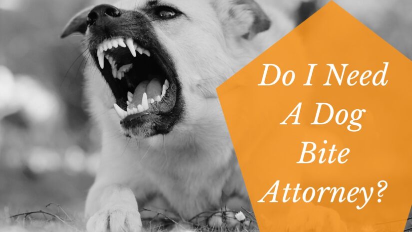 Image for Do I Need a Dog Bite Attorney? post